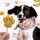 BeG Buddy Eis für Hunde mit Banane und Kürbis