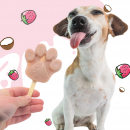 BeG Buddy Eis f&uuml;r Hunde mit Kokos und Erdbeere