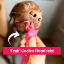 BeG Buddy ICEPOPS f&uuml;r DIY Hundeeis