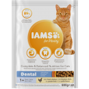 IAMS for Vitality Katzentrockenfutter Dental mit frischem...