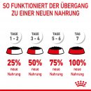 ROYAL CANIN KITTEN STERILISED Nassfutter f&uuml;r kastrierte K&auml;tzchen ab 6 Monaten 12x85 g