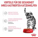 ROYAL CANIN KITTEN STERILISED Nassfutter f&uuml;r kastrierte K&auml;tzchen ab 6 Monaten 12x85 g