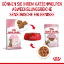 ROYAL CANIN KITTEN STERILISED Nassfutter f&uuml;r kastrierte K&auml;tzchen ab 6 Monaten 12x85 g