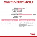 ROYAL CANIN KITTEN STERILISED Nassfutter f&uuml;r kastrierte K&auml;tzchen ab 6 Monaten 12x85 g