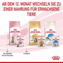 ROYAL CANIN KITTEN STERILISED Nassfutter f&uuml;r kastrierte K&auml;tzchen ab 6 Monaten 12x85 g