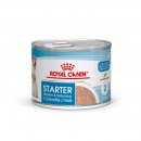 ROYAL CANIN Starter Mousse Mother & Babydog...