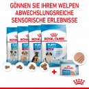 ROYAL CANIN Starter Mousse Mother &amp; Babydog Welpenfutter nass f&uuml;r tragende H&uuml;ndinnen und Welpen von der 2. - 8. Woche 12x195 g