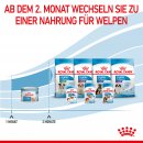 ROYAL CANIN Starter Mousse Mother &amp; Babydog Welpenfutter nass f&uuml;r tragende H&uuml;ndinnen und Welpen von der 2. - 8. Woche 12x195 g
