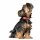 Hunter Hunde Halsband Love 65//L