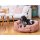 PET & CO. Hundebett Ronny Cord Dusky Pink M (70*50*28 cm)