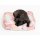 PET & CO. Hunde- & Katzensack Snuggle Canvas Teddy