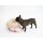 PET & CO. Hunde- & Katzensack Snuggle Canvas Teddy