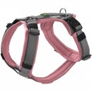 Hunter Geschirr Maldon Up Altrosa/Grau 37-53/XS-S