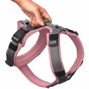 Hunter Geschirr Maldon Up Altrosa/Grau 37-53/XS-S