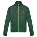 Regatta Herren Jacke Coladane V Gr&uuml;n