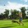 Hunter Wurf-Hundespielzeug Flingerz Furry Hase