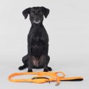 Paikka Hundeleine Visibility Orange 1,5x180cm