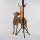 Paikka Hundeleine Visibility Orange 1,5x180cm