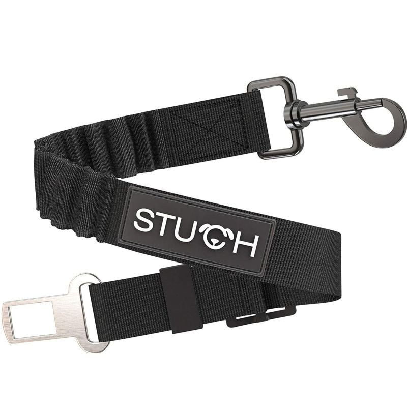 Stuch Autogurt Universell (Bungee) Schwarz