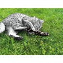 Aum&uuml;ller Katzenspielzeug Zappel-Frettchen Speedy