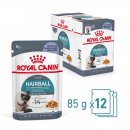 ROYAL CANIN HAIRBALL CARE Katzennahrung Feucht gegen Haarballenbildung 12x85 g