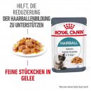 ROYAL CANIN HAIRBALL CARE Katzennahrung Feucht gegen...