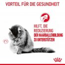 ROYAL CANIN HAIRBALL CARE Katzennahrung Feucht gegen Haarballenbildung 12x85 g