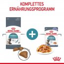 ROYAL CANIN HAIRBALL CARE Katzennahrung Feucht gegen Haarballenbildung 12x85 g
