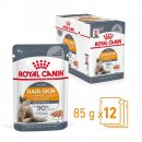 ROYAL CANIN HAIR &amp; SKIN CARE Katzennahrung Feucht f&uuml;r gesundes Fell (Intense Beauty) 12x85 g