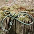 Hunter Verstellbare F&uuml;hrleine Round &amp; Soft M&uuml;nchen Gr&uuml;n L&auml;nge max. 200 cm | Durchmesser 1,0 cm