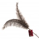 Profeline Katzenspielzeug Federwedel Ostrich Feathers