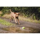 Farm-Land Hundespielball