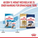 ROYAL CANIN SHN Maxi Puppy 4 kg