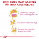 ROYAL CANIN Maine Coon Trockenfutter f&uuml;r K&auml;tzchen 4 Kg