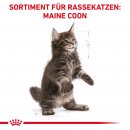 ROYAL CANIN Maine Coon Trockenfutter f&uuml;r K&auml;tzchen 4 Kg