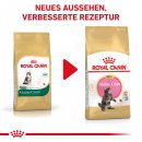 ROYAL CANIN Maine Coon Trockenfutter f&uuml;r K&auml;tzchen 4 Kg