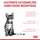 ROYAL CANIN Katzenfutter f&uuml;r kastrierte Kitten 2 Kg
