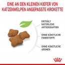 ROYAL CANIN Katzenfutter f&uuml;r kastrierte Kitten 2 Kg