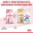 ROYAL CANIN Katzenfutter f&uuml;r kastrierte Kitten 2 Kg