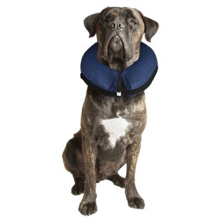 Flamingo Hunde Halskragen Gofi aufblasbar Blau - jetzt online kaufen!