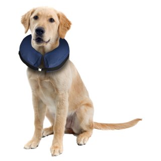 Flamingo Hunde Halskragen Gofi aufblasbar Blau - jetzt online kaufen!