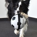 Flamingo Hundespielzeug Matchball Fu&szlig;ball DM 22cm