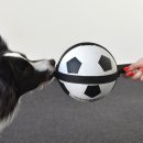 Flamingo Hundespielzeug Matchball Fu&szlig;ball DM 22cm