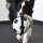 Flamingo Hundespielzeug Matchball Fußball DM 22cm