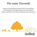 Goood Hundenassfutter Adult Freiland-Pute Dose 800 g