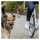 Trixie Hunde Biker-Set, U-Form