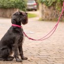 Maul Ledermanufaktur Hundehalsband Mono Pop Geplostert