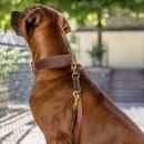 Maul Ledermanufaktur Hundehalsband Klassik Premium