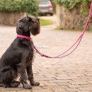 Maul Ledermanufaktur Hundehalsband Mono Pop Geplostert Petrol L 40cm / B 22mm