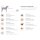 Maul Ledermanufaktur Hundehalsband Klassik Premium Cognac/Silber L 60cm / B 35mm